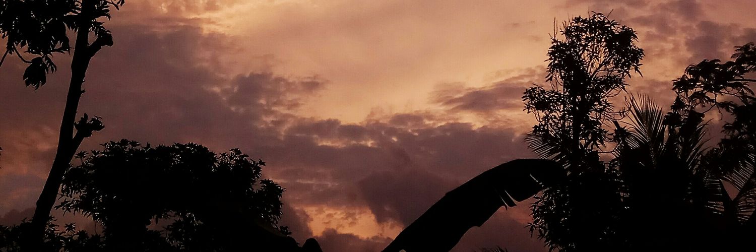 febrianalexius's profile banner image