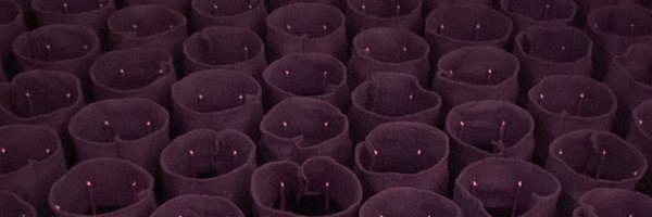 NishanShettigar Profile Banner