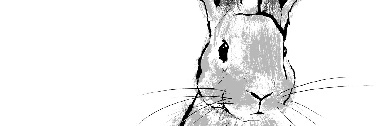 TiffHowick's profile banner image