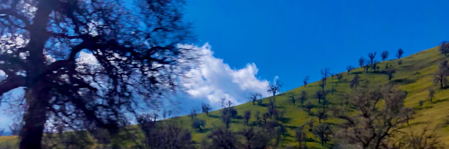 TaniaSD1's profile banner image