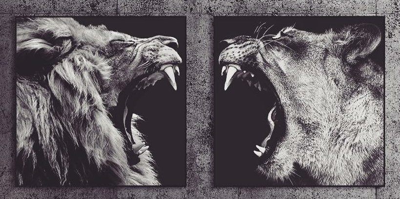 JustMarkos's profile banner image