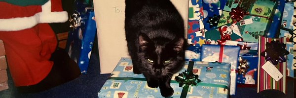 lexton_6 Profile Banner