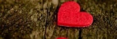 Momy7093's profile banner image