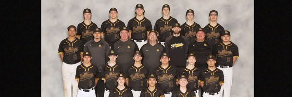 HLRBaseball Profile Banner