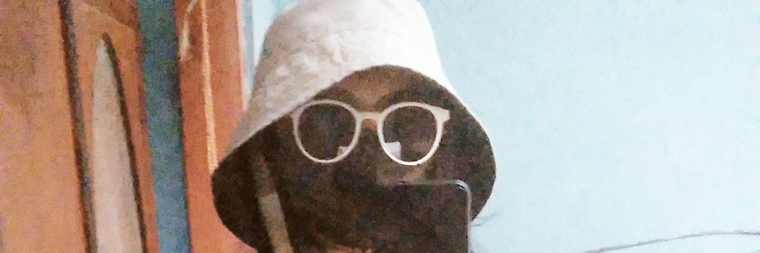 elytasurya's profile banner image