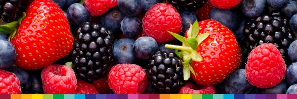StudentNutriON Profile Banner