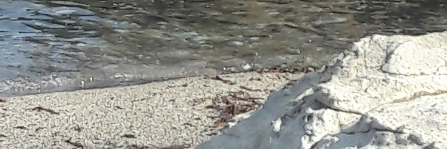 Mercede32708504's profile banner image