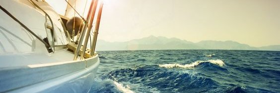 Pedro, o vingador banner