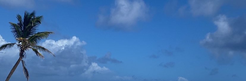 Marcela Vega banner