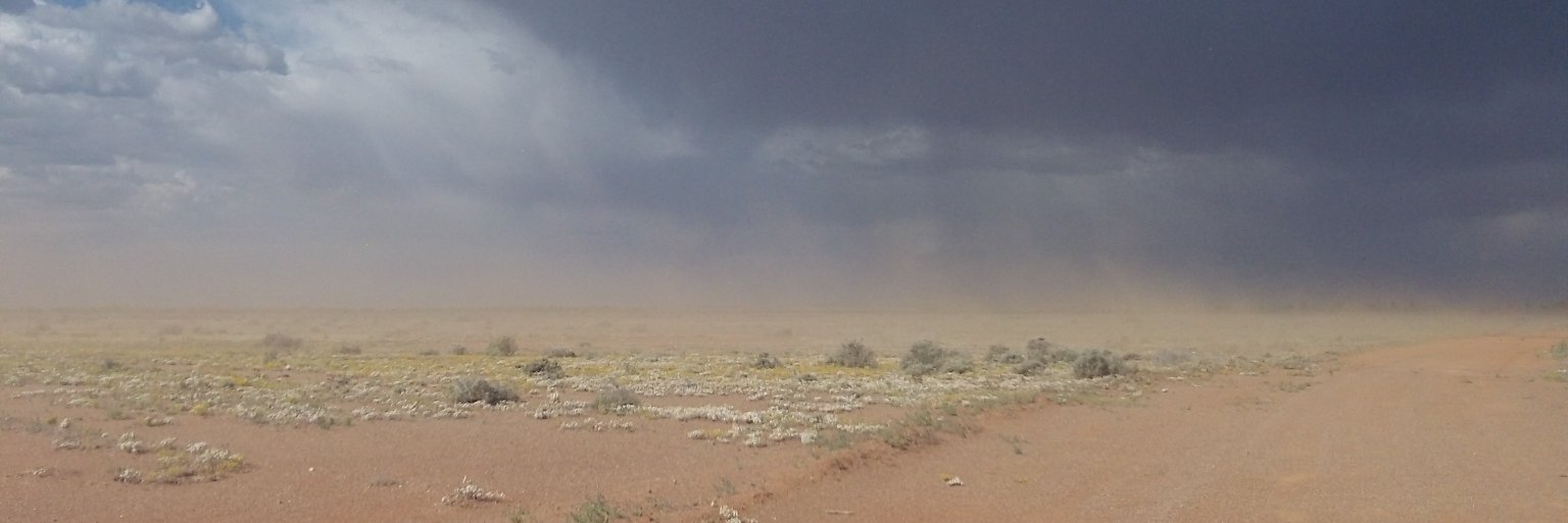 Mark Cuthbert banner