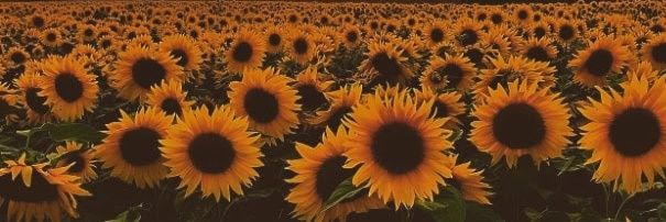 karen_em86's profile banner image