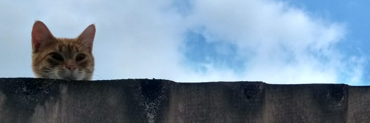 @framil.bsky.social banner