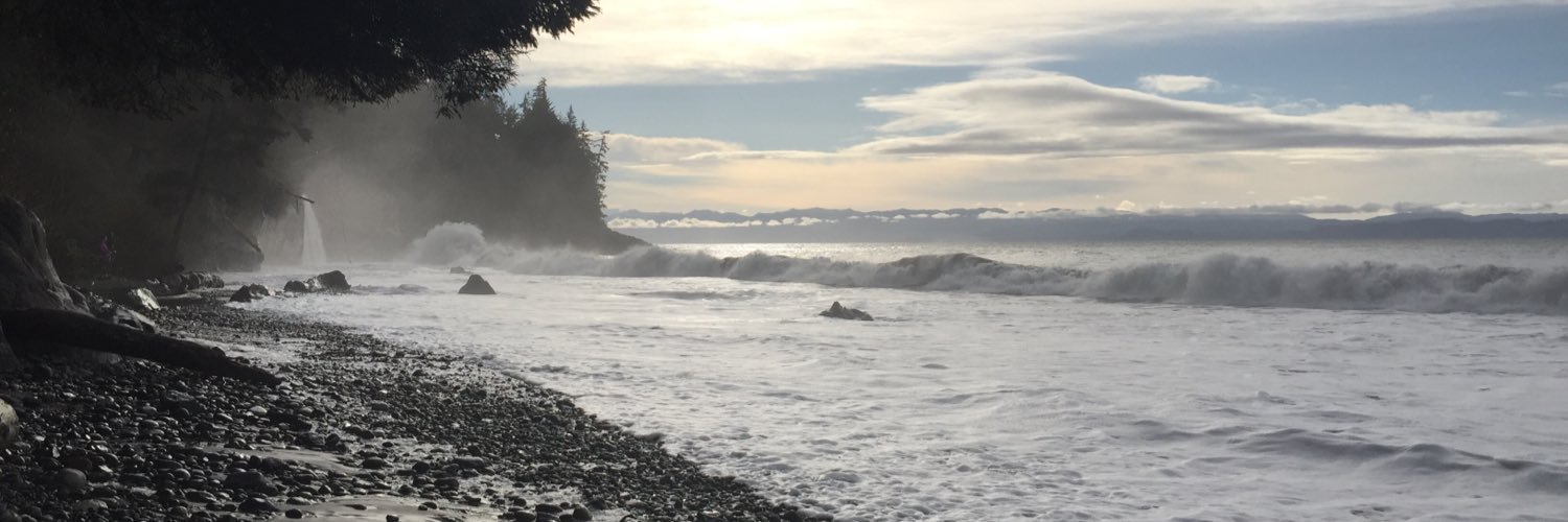 Rachel Aaron, PhD banner