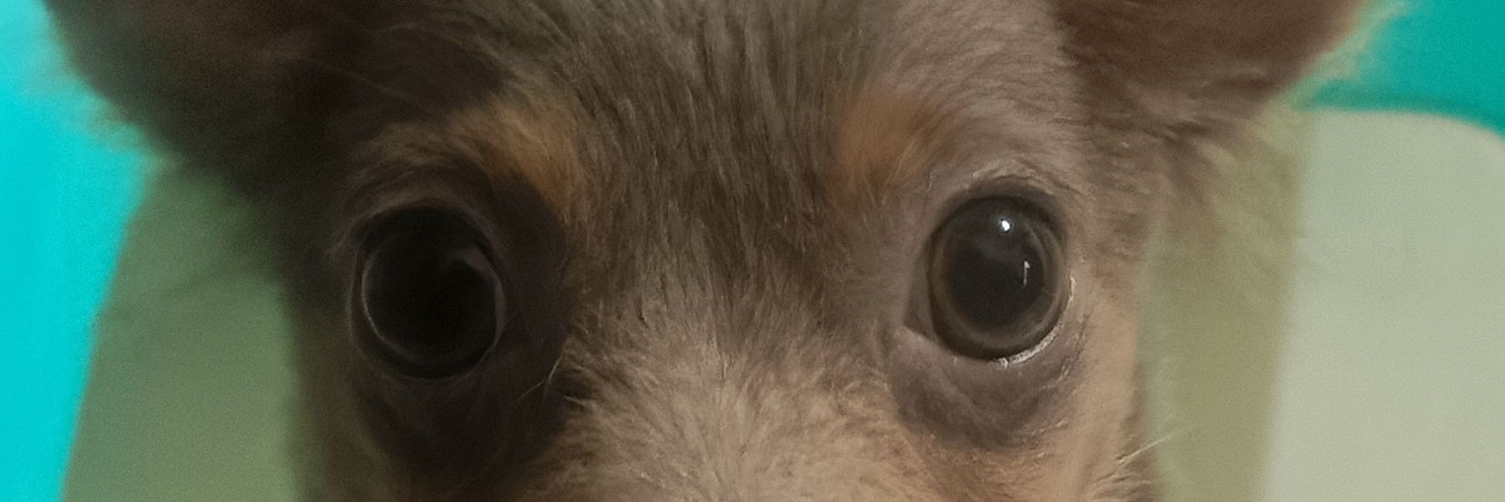 TheKDoomsday's profile banner image