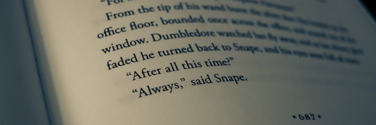 conner oliver banner