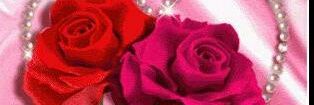 rissiabdd's profile banner image
