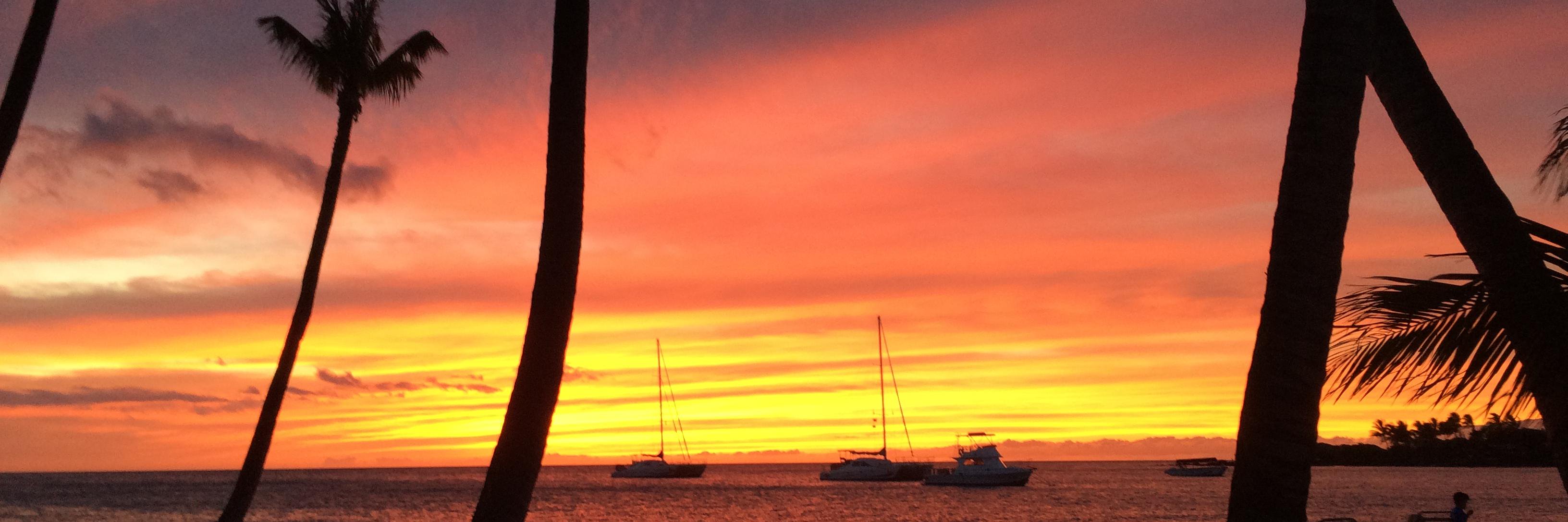 RodneyKoch's profile banner image