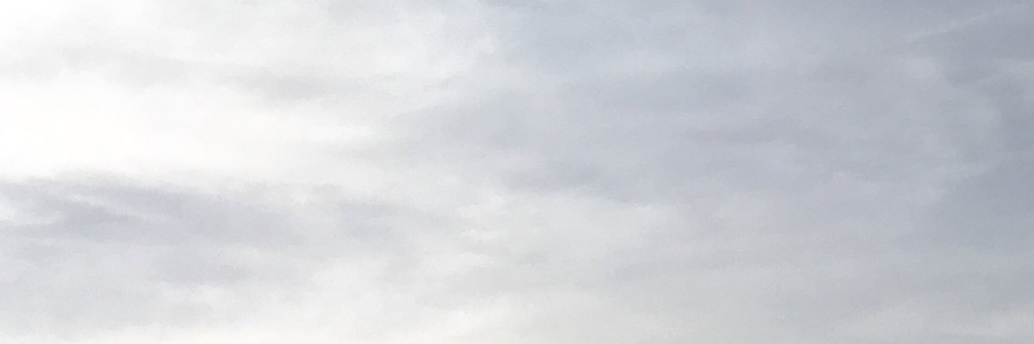 sofievillamorr's profile banner image