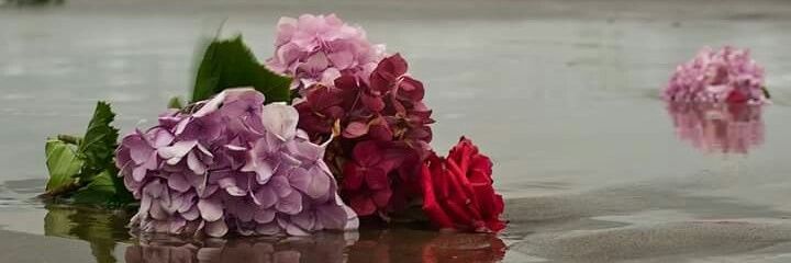 Concheta_81's profile banner image