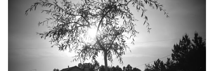 Pedrobeauf's profile banner image