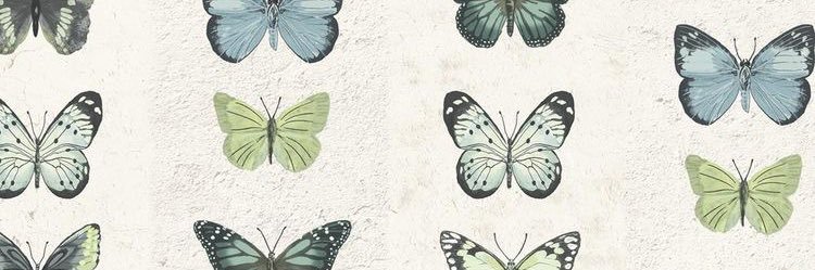 sue__Generis's profile banner image