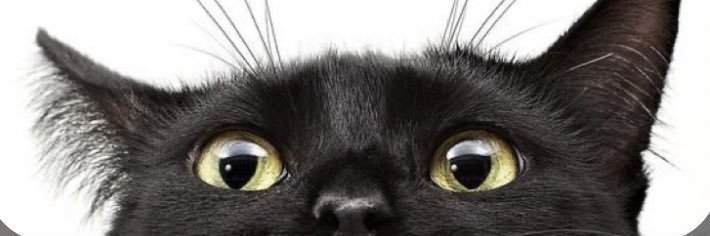 LuisOkon's profile banner image