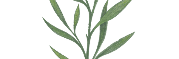 TheWillowsWork Profile Banner