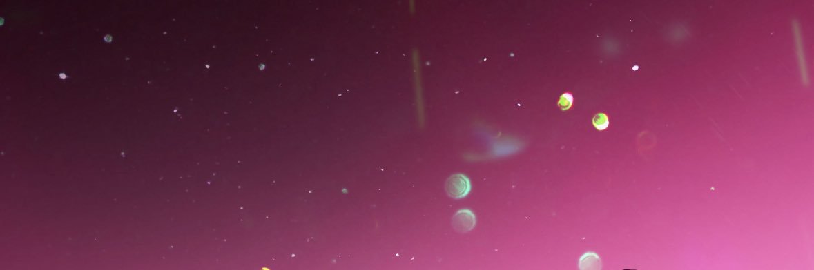 7jijoey's profile banner image