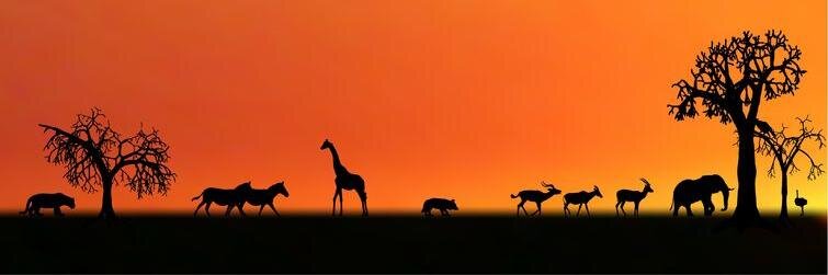 AfricanAntix's profile banner image