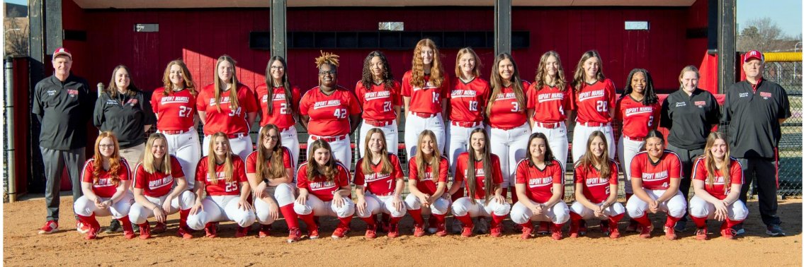 ManualSoftball's profile banner image