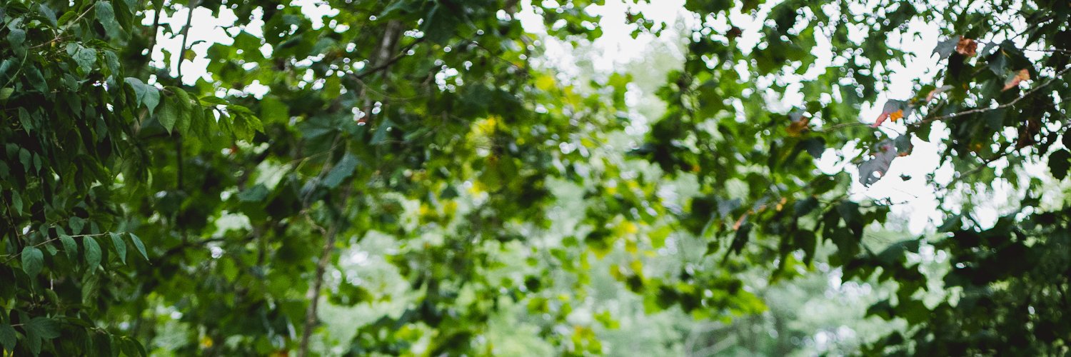 Effee banner