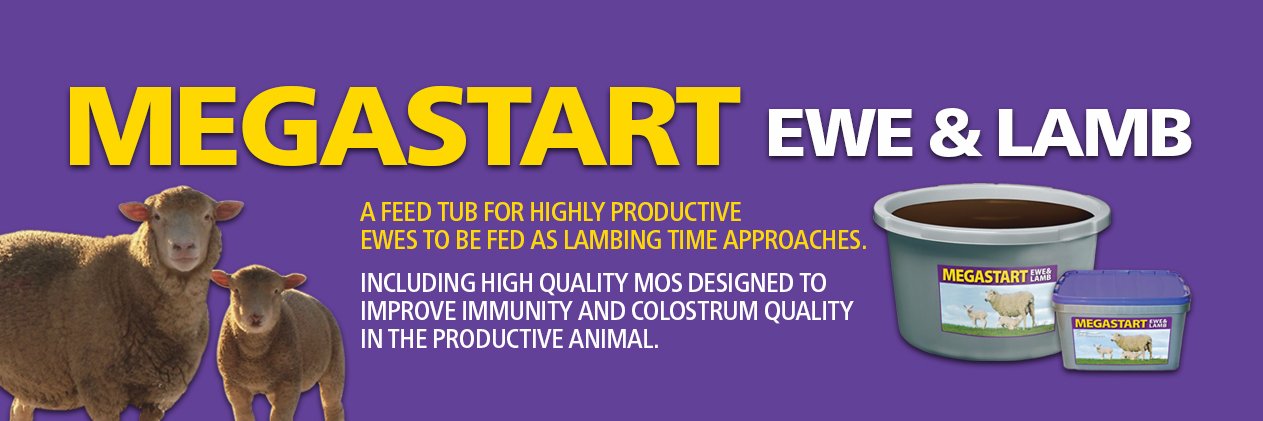 Scotmin Nutrition banner