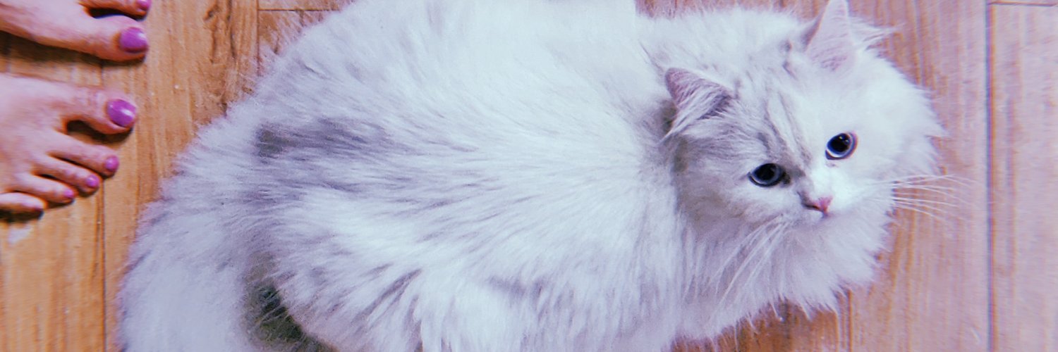 pranjalee_'s profile banner image