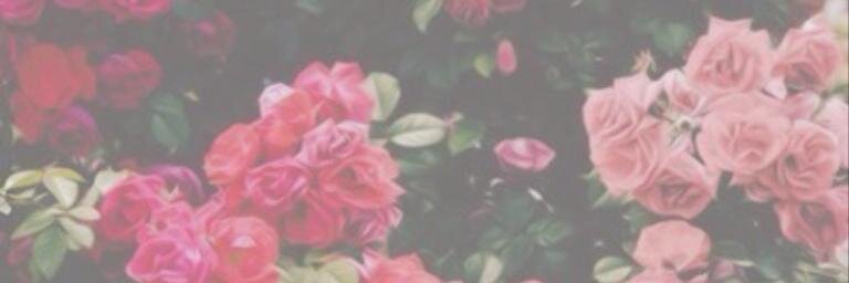ItsKendallJRP's profile banner image