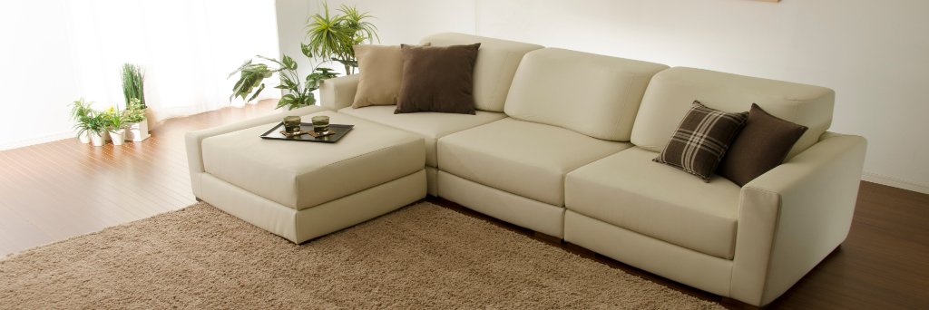 ㈱セルタン採用チーム banner