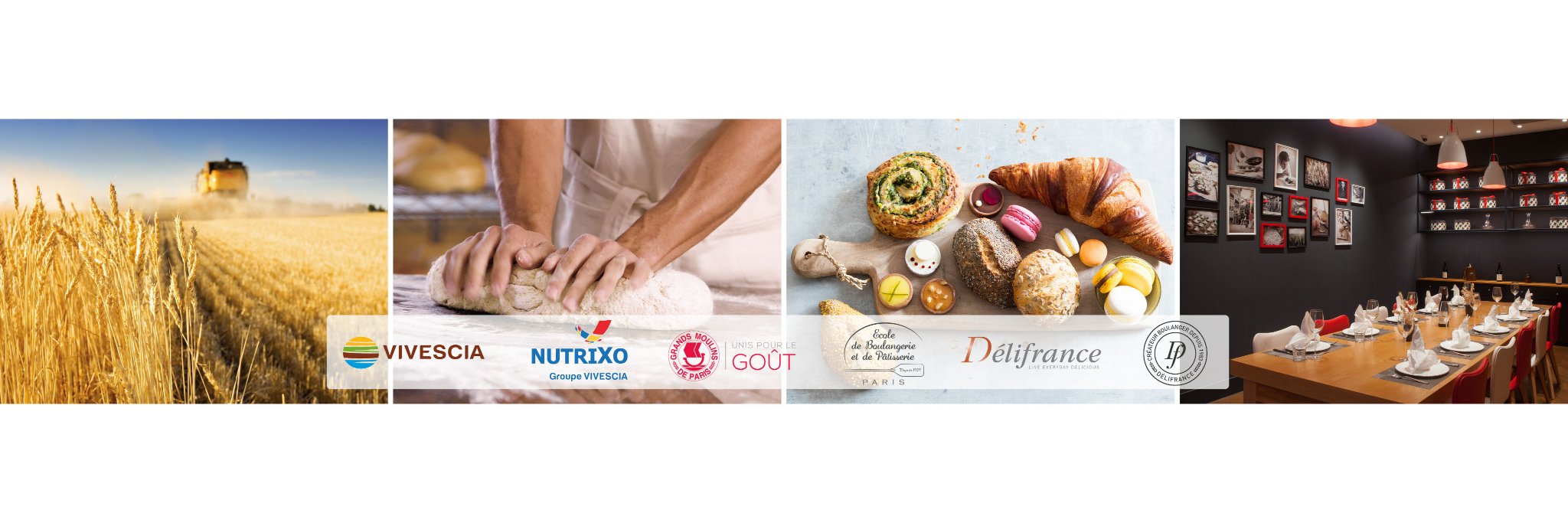 WebNutriXo's profile banner image