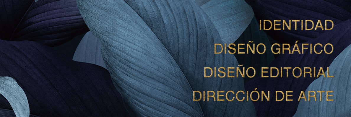 RosaObra's profile banner image