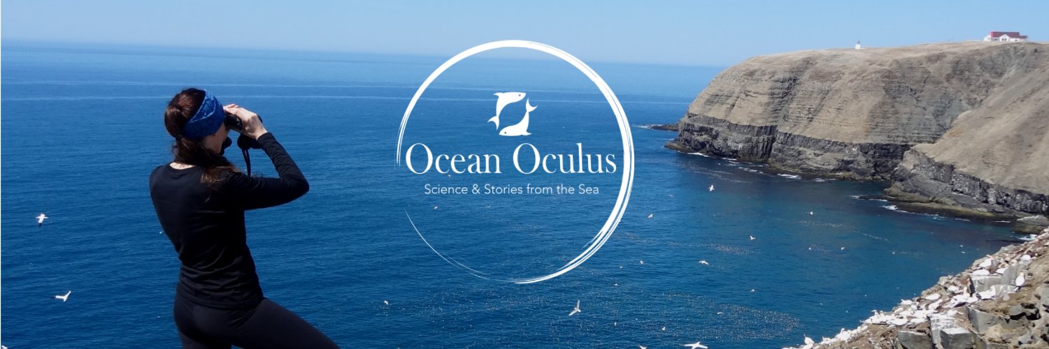 Dr Samantha Andrews banner