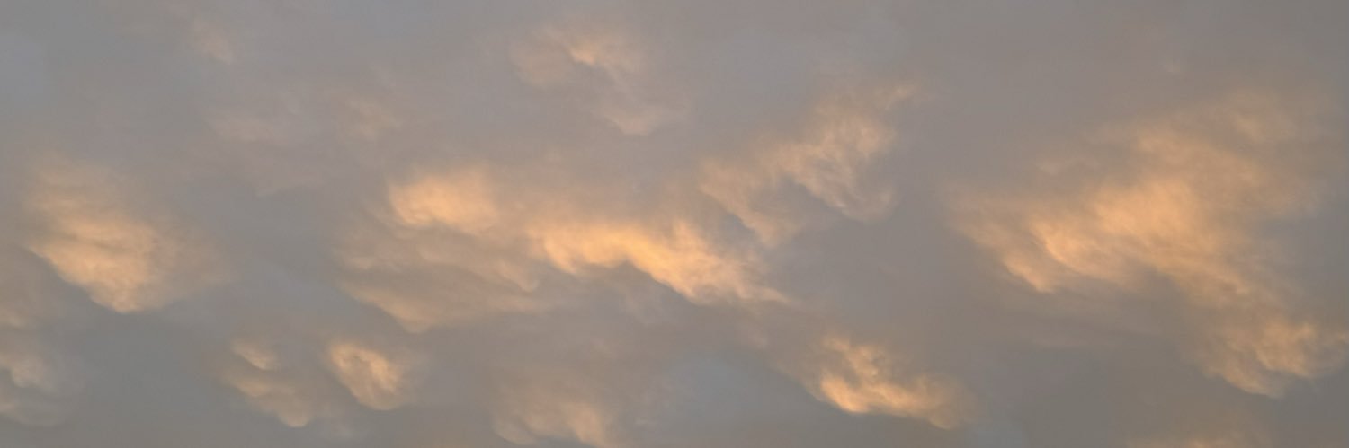 EmilyManning96's profile banner image