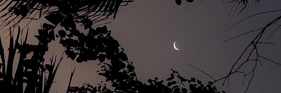 caaziera's profile banner image