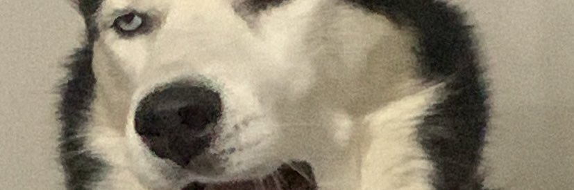 LilEp_'s profile banner image