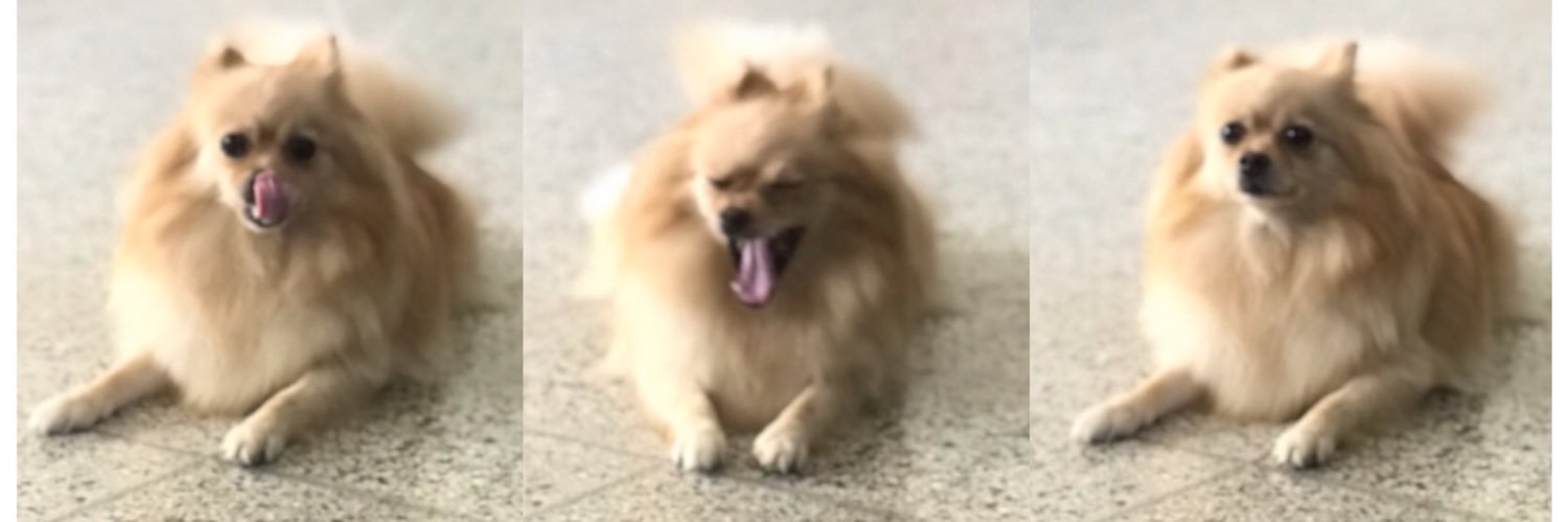 aniisosa's profile banner image