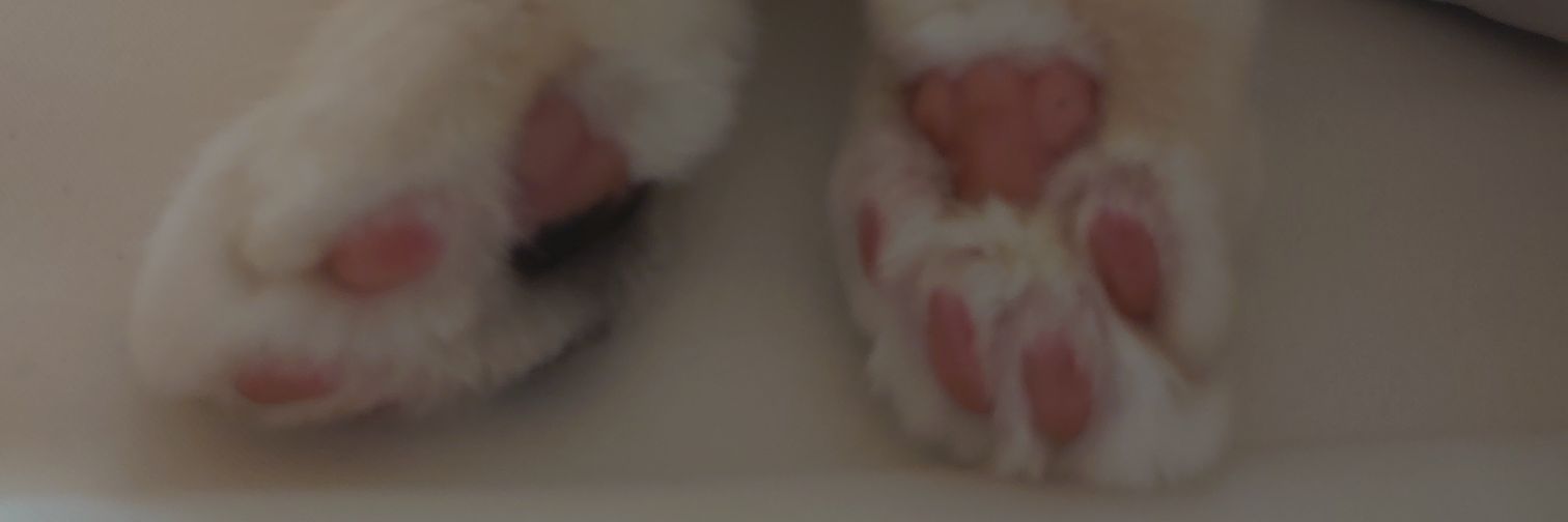 MiriMirichanco's profile banner image