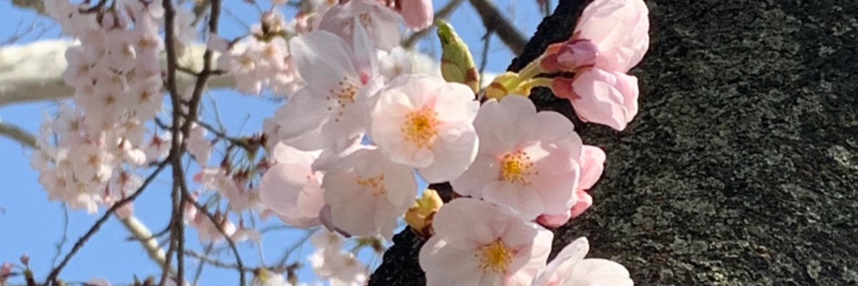CarlaFruchet's profile banner image