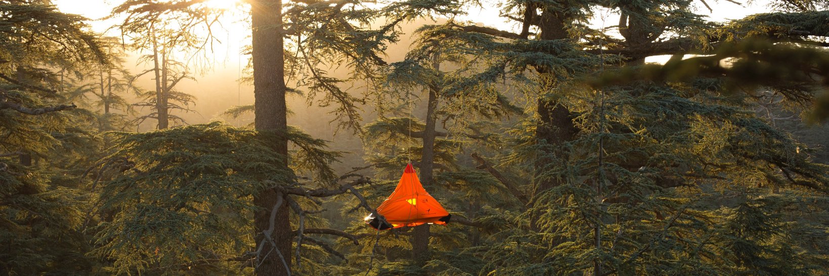 TheBigCanopyCampout banner