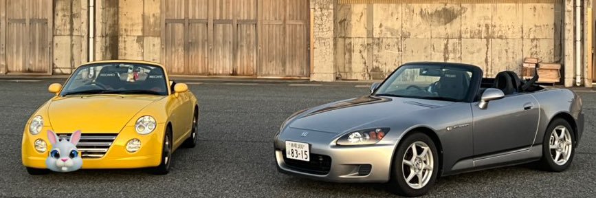 ( ･᷄-･᷅ o木島o banner