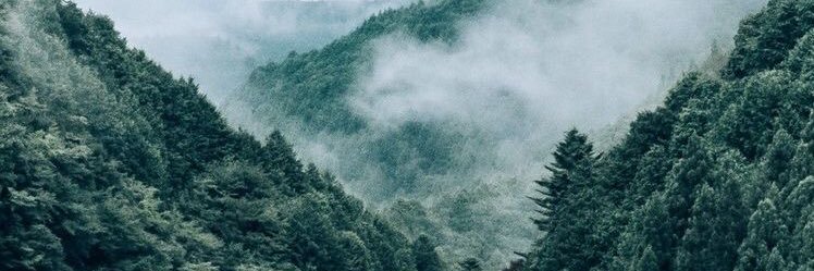 DanielP1607's profile banner image