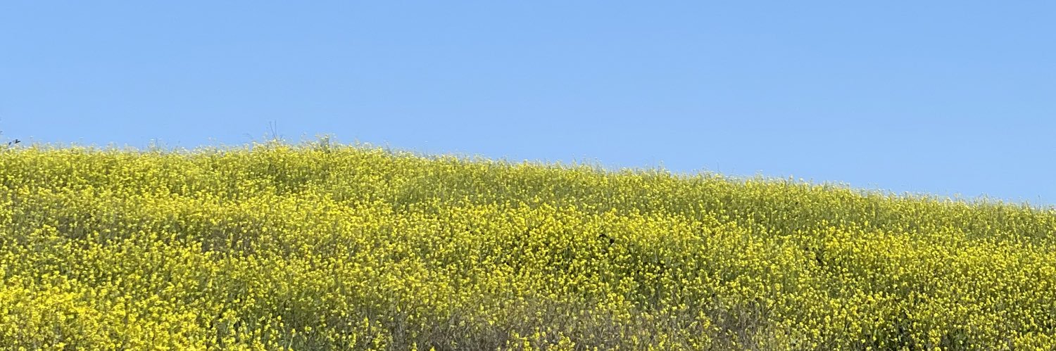 hysdcal's profile banner image