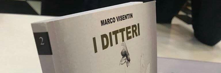 visemarco's profile banner image