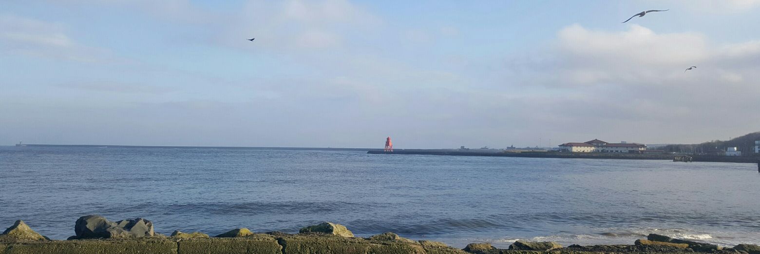 Thomas Dewing banner